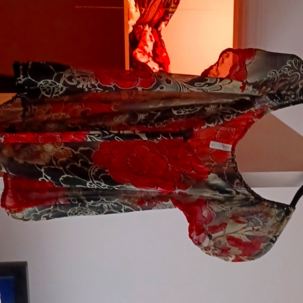 Xhilaration Sheer Top